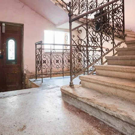 Muzeului * Cluj-Napoca