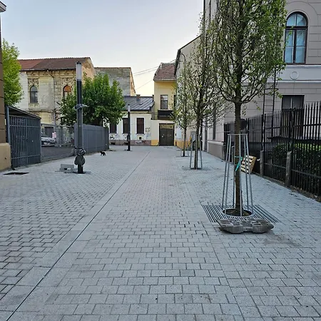 Muzeului * كلوج-نابوكا