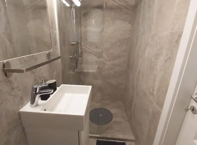 Muzeului クルージュ＝ナポカ