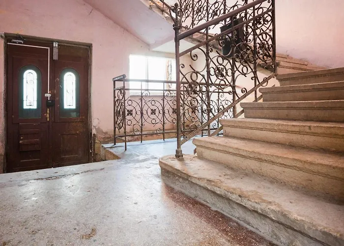 Muzeului * クルージュ＝ナポカ