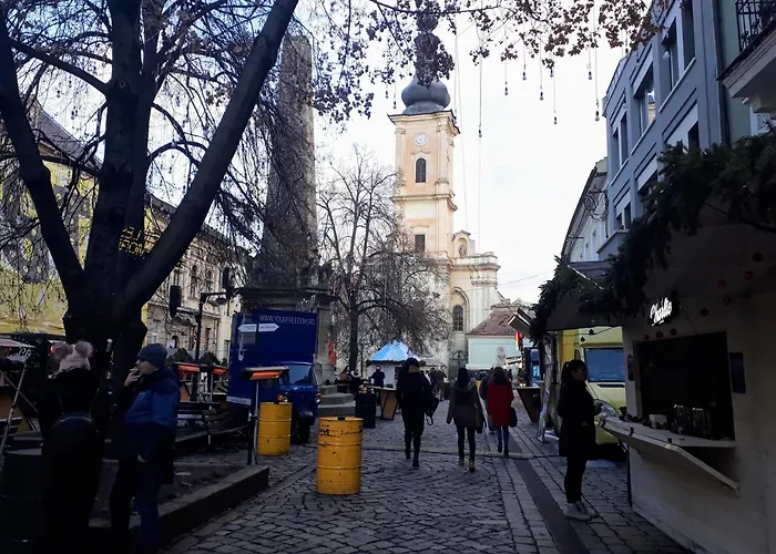 Muzeului アパート *