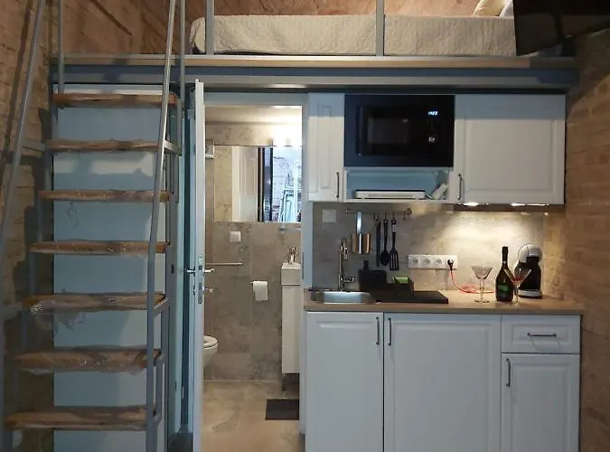 アパート Muzeului *