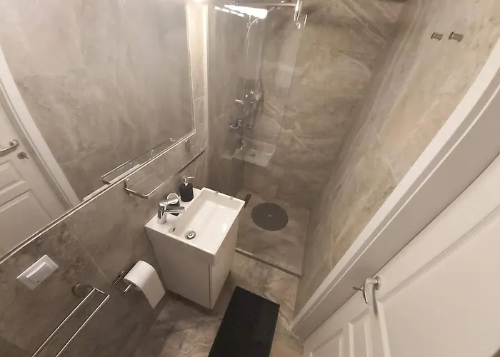 Muzeului アパート *