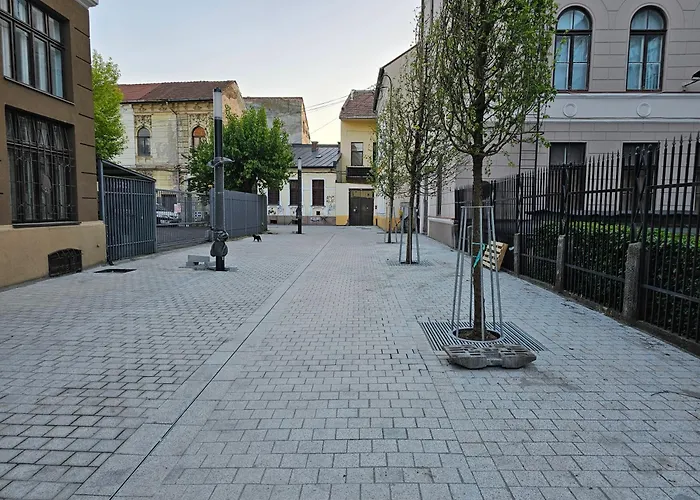 Muzeului * クルージュ＝ナポカ