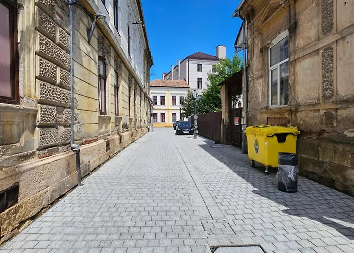 アパート Muzeului *